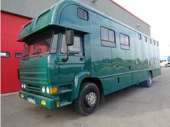Camión transporte de ganado DAF FA 2505 DHS 610 - 4x2. Capacity 5 horses + House: foto 1