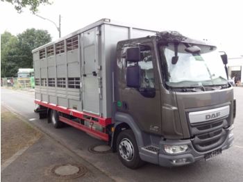 Camión transporte de ganado DAF LE 250 "Neu"WST Edition" Menke Einstock 6,10m: foto 1