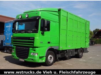 Camión transporte de ganado DAF XF 105/460 SC Menke 3 Stock Vollalu: foto 1