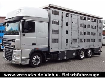 Camión transporte de ganado DAF XF 105/510 SSC Menke 4 Stock Hubdach Vollausst.: foto 1