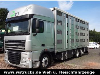 Camión transporte de ganado DAF XF 105/510 SSC Menke 4 Stock Hubdach Vollausst.: foto 1