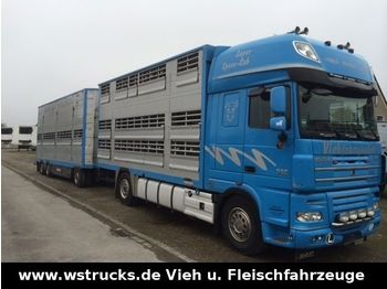 Camión transporte de ganado DAF XF 105/510 SSC Pezzaioli  Kompletter Zug: foto 1