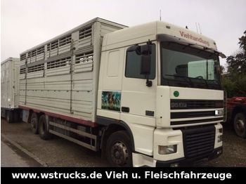 Camión transporte de ganado DAF XF 95/380 Schaltgetriebe Pezzaioli 3 Stock: foto 1