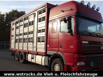 Camión transporte de ganado DAF  XF 95/480 SSC Stehmann 4Stock Vollalu Hubdach: foto 1