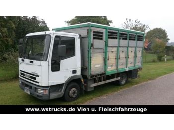Camión transporte de ganado Iveco 75E15 Menke Einstock: foto 1