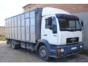 Camión transporte de ganado MAN 12.224 LC - 4x2. Truck to transport live cattle.: foto 1