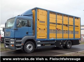Camión transporte de ganado MAN 18.310 TGA mit Menke 2 Stock Vollalu: foto 1