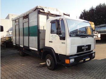 Camión transporte de ganado MAN 8.153 L2000 Menke Einstock: foto 1