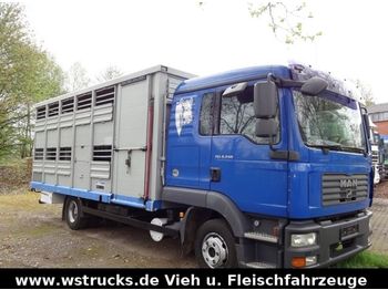 Camión transporte de ganado MAN 8.240 10.240 Einstock Menke Vollalu: foto 1