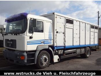 Camión transporte de ganado MAN F 2000 19.414 Menke Einstock: foto 1