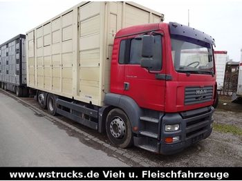 Camión transporte de ganado MAN TGA 26.310 Menke 3 Stock Vollalu: foto 1