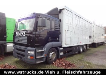 Camión transporte de ganado MAN TGA 26.410 Menke 2 Stock Vollalu Hubdach: foto 1