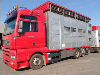 Camión transporte de ganado para transporte de animales MAN TGA 26.480 IRMA Aufbau Komplettzug: foto 1