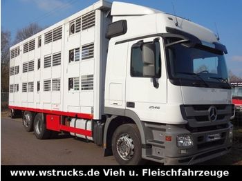 Camión transporte de ganado Mercedes-Benz 2546 MP3 mit KABA 3 Stock Lüfter Tränken: foto 1