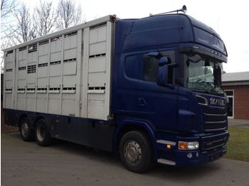 Camión transporte de ganado Scania R560 Topline Menke 3 Stock Hubdach Fahrbereit: foto 1