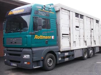 Transporte de ganado camión MAN TGA 26.530
