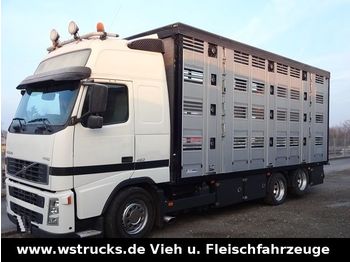 Camión transporte de ganado Volvo FH 460 Globe mit Menke 4 Stock Hubdach: foto 1