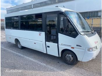 Minibús, Furgoneta de pasajeros IVECO Cacciamali fino 3 posti carrozzelle: foto 1