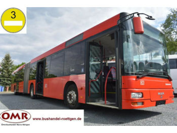 Autobús urbano MAN A23/Lion's City / 530 G / Citaro / Klima: foto 1