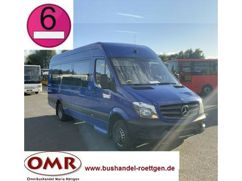 Minibús, Furgoneta de pasajeros Mercedes-Benz 516 CDI Sprinter / 20 Sitzer / Euro 6: foto 1