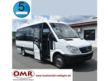 Minibús, Furgoneta de pasajeros Mercedes-Benz 516 CDI Sprinter/Crafter/Master/Klima/Euro 5: foto 1