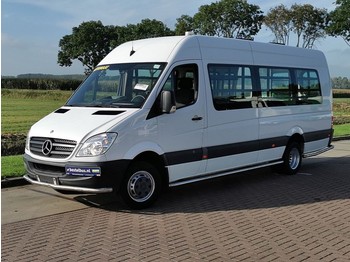 Minibús, Furgoneta de pasajeros Mercedes-Benz Sprinter 513 CDI maxi opstapper: foto 1
