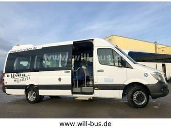 Minibús, Furgoneta de pasajeros Mercedes-Benz Sprinter 516 Mobility Klima LIFT 23-Sitze  TELMA: foto 1