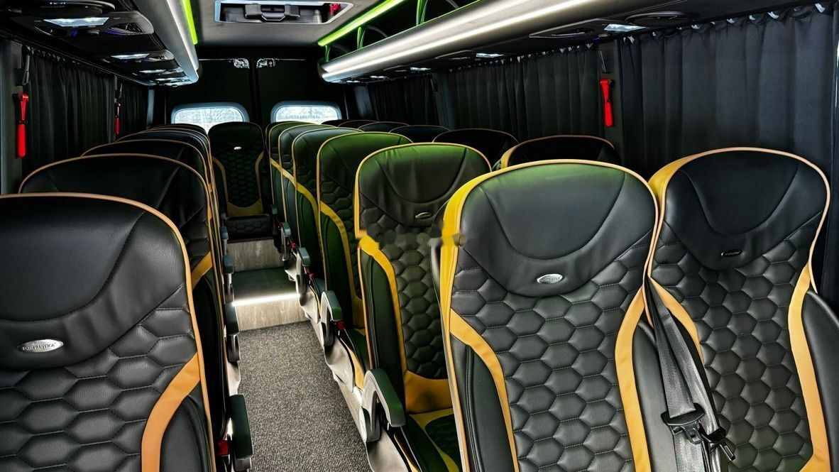 Minibús, Furgoneta de pasajeros nuevo Mercedes-Benz Sprinter 519 XL: foto 10