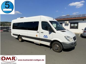 Minibús, Furgoneta de pasajeros Mercedes-Benz Sprinter Transfer 55/ Euro 5/ Original-KM: foto 1