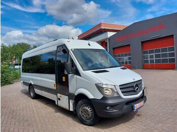 Minibús Mercedes-Benz 516 Sprinter 65