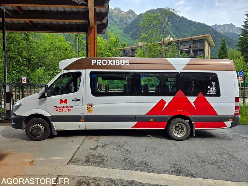 Minibús Mercedes Sprinter - 2015 - 254021kms