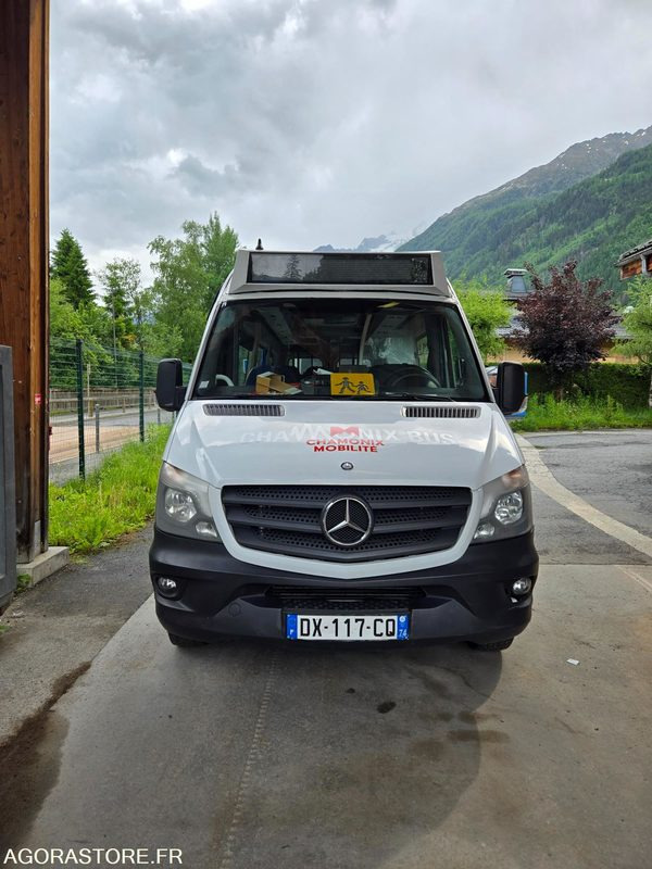 Minibús Mercedes Sprinter - 2015 - 254021kms
