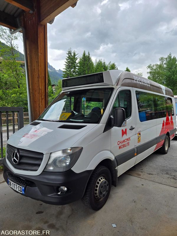 Minibús Mercedes Sprinter - 2015 - 254021kms