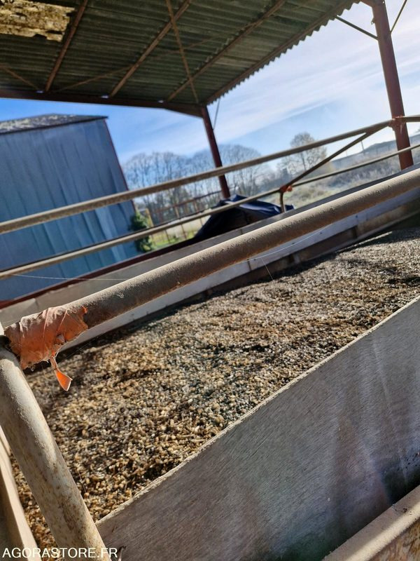 Camión Benne ampliroll céréalière 9