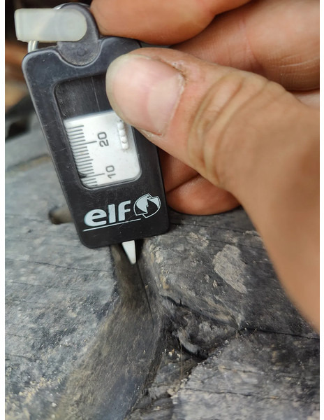 Camión multibasculante Steyr 19S31 19S32 Container Marrel