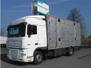 Camión transporte de ganado DAF AE105 XF 410 Vieh Doppelstock: foto 1