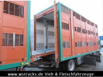Camión transporte de ganado DAF CF85/460 Spacecup Menke 3 Stock: foto 1