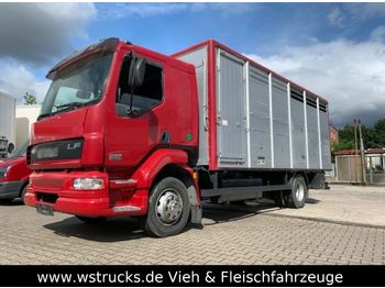 Camión transporte de ganado DAF LF 55 Einstock KABA: foto 1