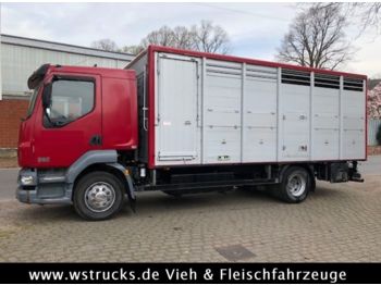 Camión transporte de ganado DAF LF 55 Einstock Köpf: foto 1