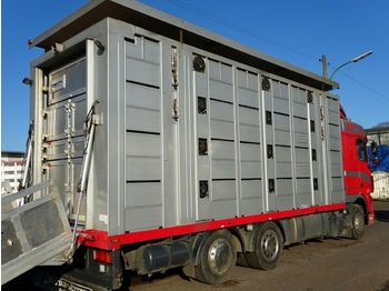Camión transporte de ganado DAF XF105/460 Spacecup Menke 4 Stock: foto 1