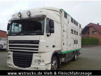 Camión transporte de ganado DAF XF 105/410 SC Menke 3 Stock Vollalu: foto 1