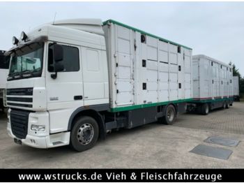 Camión transporte de ganado DAF XF 105/410 SC Menke 3 Stock Vollalu Komplett: foto 1