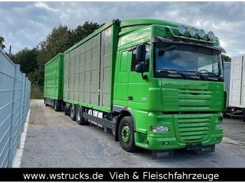 Camión transporte de ganado DAF  XF 105/460 SC Menke 3 Stock Hubdach: foto 1