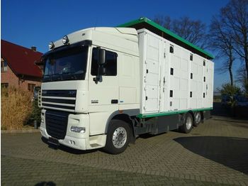 Camión transporte de ganado DAF XF 105/460 SSC Menke 3 Stock Hubdach: foto 1