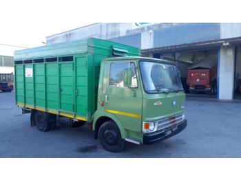 Camión transporte de ganado IVECO FIAT 50 OM: foto 1