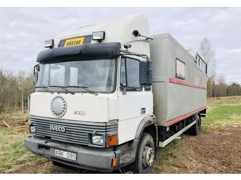 Camión transporte de ganado Iveco 145-17: foto 1