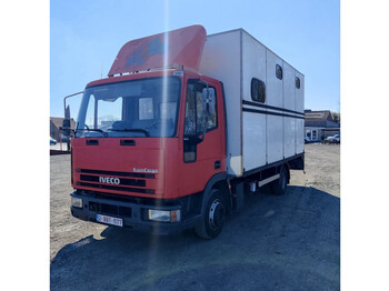 Camión para caballos Iveco eurocargo: foto 1