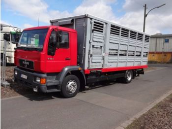 Camión transporte de ganado MAN 14.224  mit Menke 2 Stock Vollalu: foto 1