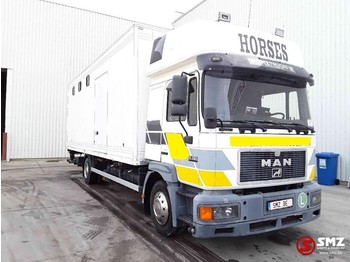 Camión transporte de ganado MAN 14.264 horses/chevaux: foto 1