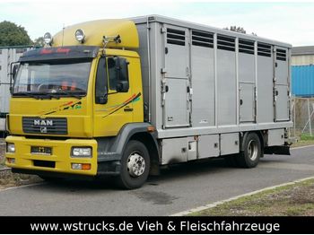 Camión transporte de ganado MAN 15.220 Menke Einstock: foto 1